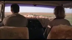 Ver Tonto y Retonto película completa en español latino online gratis 1994 Grandes Pelis