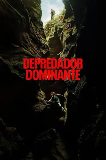 Ver Orgullo y Prejuicio película completa en español latino online gratis 2005 Grandes Pelis